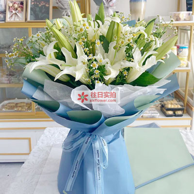 梅州8支白色多头百合洋甘菊，互倾的思念