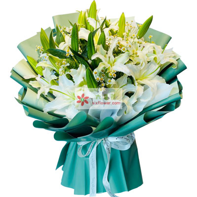 梅州8支白色多头百合洋甘菊，如潮的思念